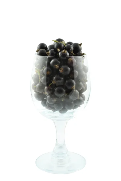 Black currant in a glass — Stock Photo, Image