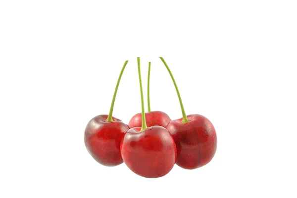 Cerezas — Foto de Stock