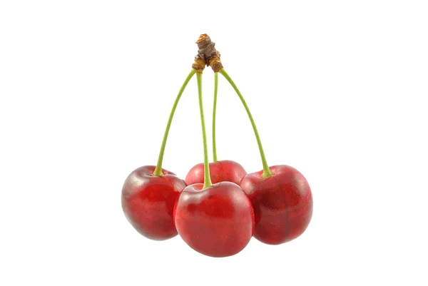 Cerezas — Foto de Stock