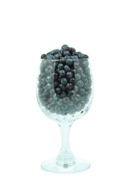 bir bardak yaban mersini