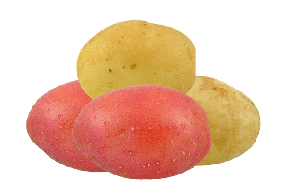 Potatis — Stockfoto