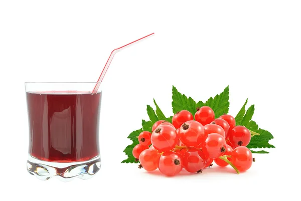 Jus Currant — Stok Foto