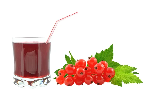 Jus Currant — Stok Foto