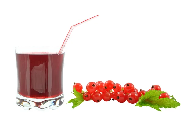 Currant juice — Stock Photo, Image
