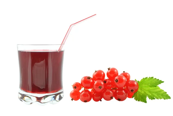 Currant juice — Stock Photo, Image