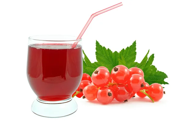 Jus Currant — Stok Foto