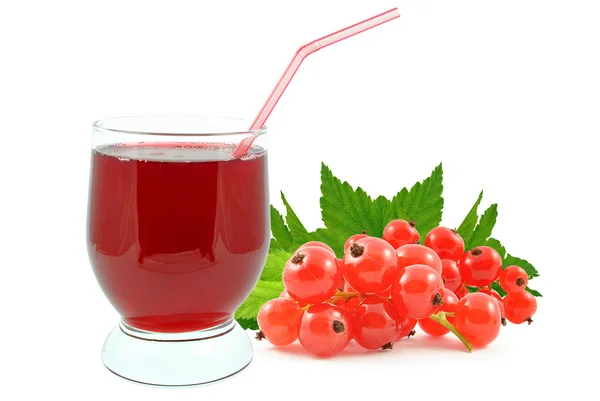 Succo di ribes — Foto Stock