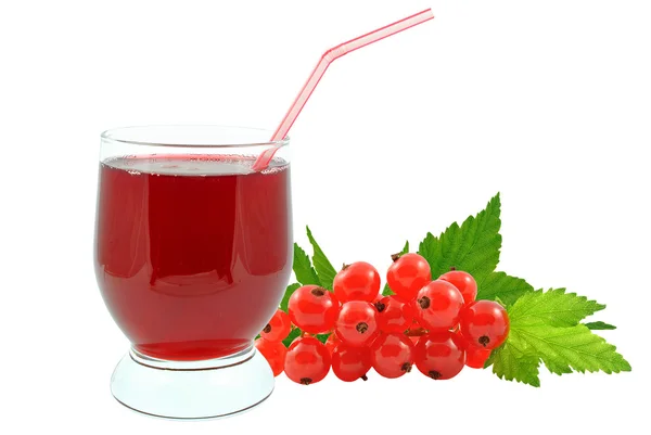 Currant juice — Stock Photo, Image