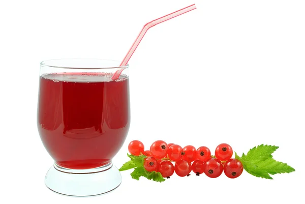 Jus Currant — Stok Foto