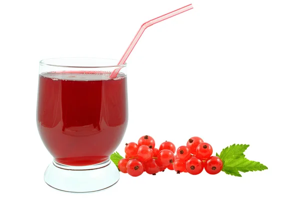 Succo di ribes — Foto Stock