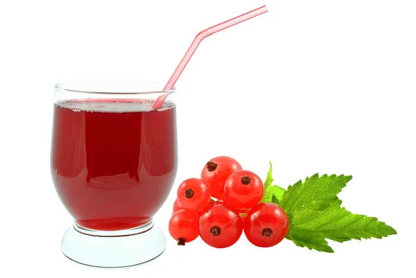 Currant juice — Stock Photo, Image