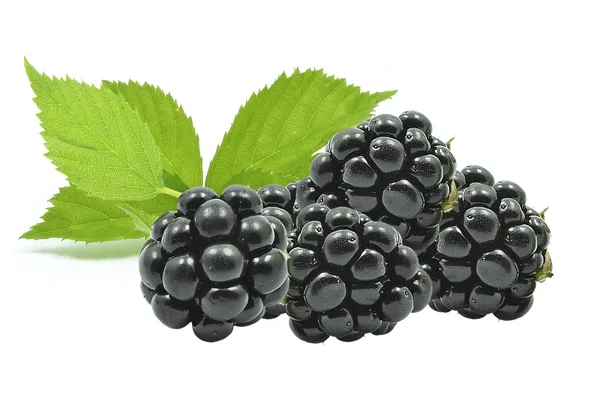 Brombeere — Stockfoto