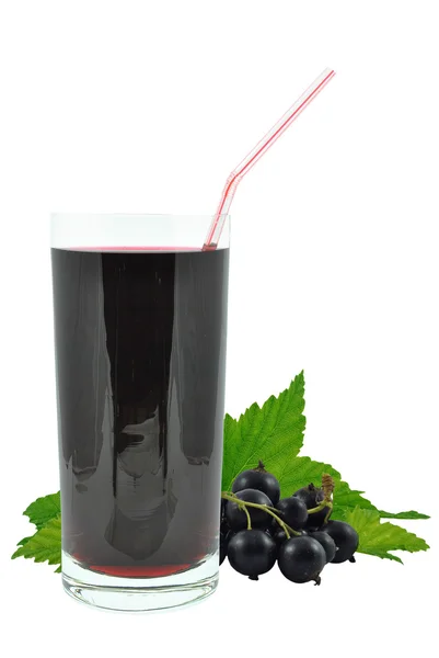 Blackcurrant suyu — Stok fotoğraf