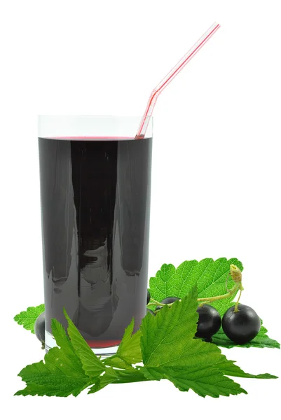 Blackcurrant suyu — Stok fotoğraf