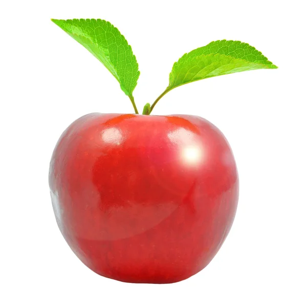 Manzana — Foto de Stock