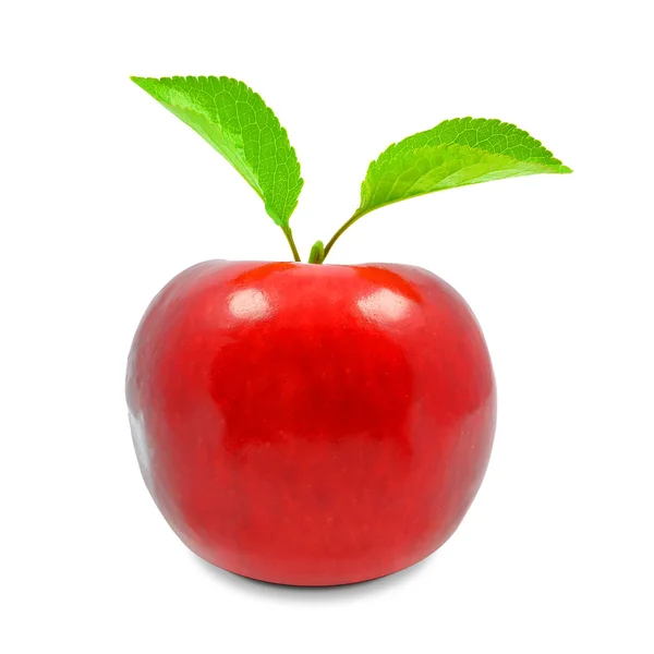 Manzana — Foto de Stock