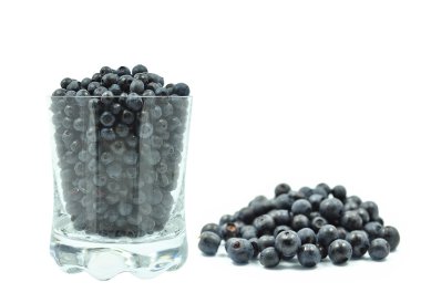 bir bardak yaban mersini