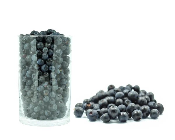 Blueberries in a glass — Stock Photo, Image