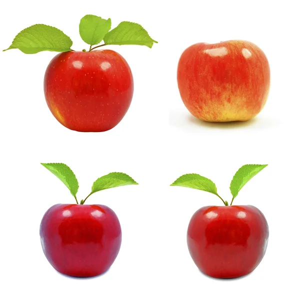 Apples — Stock Photo, Image