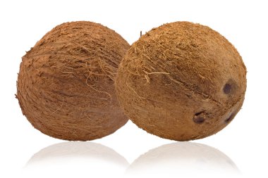 Hindistan cevizleri