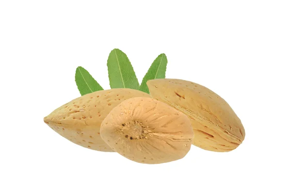 Almonds — Stock Photo, Image