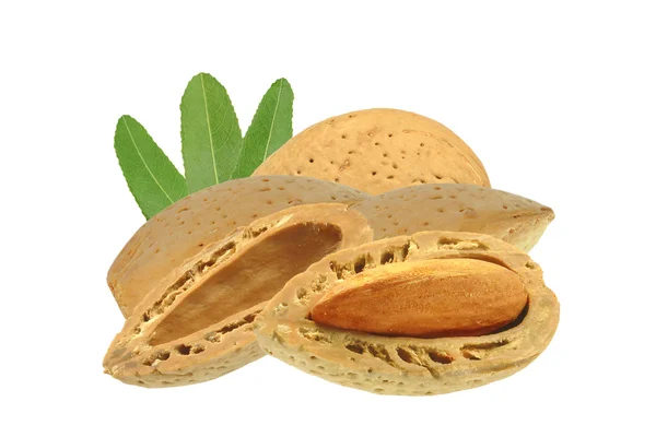 Almonds — Stock Photo, Image