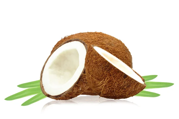 ココナッツ — ストック写真