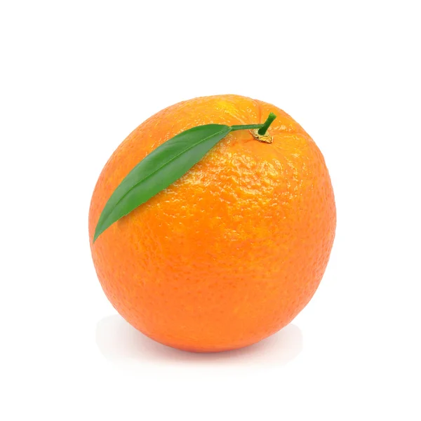 Oranje — Stockfoto