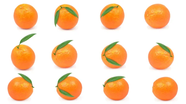 Orange — Stockfoto