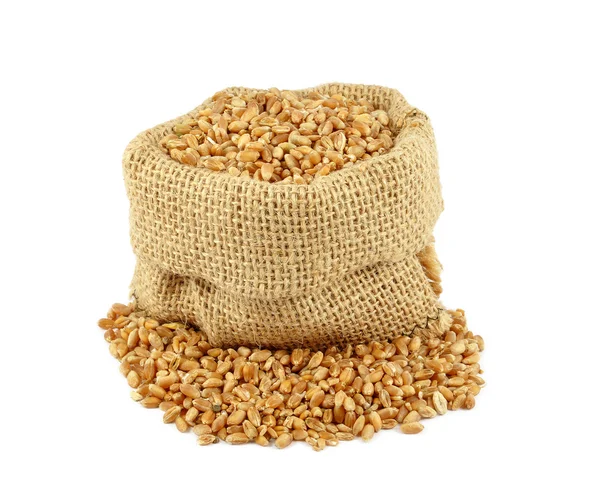 Wheat — Stock Photo, Image