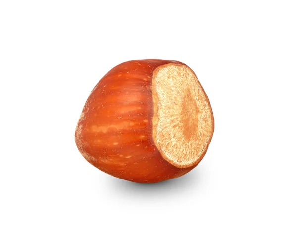 Hazelnut — Stock Photo, Image