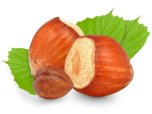 fındık