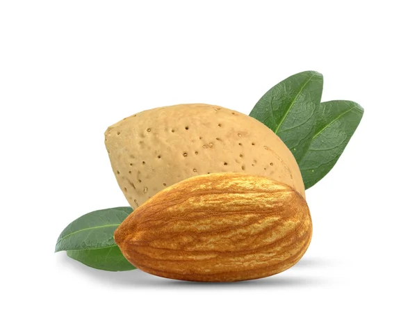 Almond nuts — Stock Photo, Image