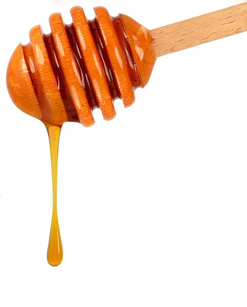 Honey — Stock Photo, Image