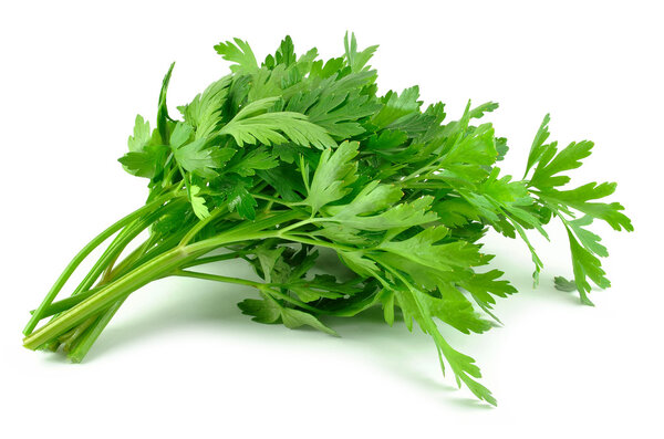Parsley leaves