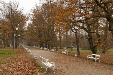 Autumn park in Frantiskovy Lazne, Czech Republic