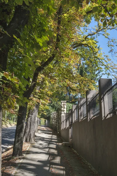 Zagreb street — Stockfoto