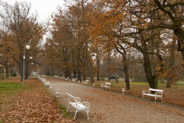Осенний парк во Франтишковом Лазне, Чехия — стоковое фото