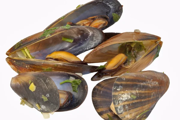 Cozze cotte — Foto Stock