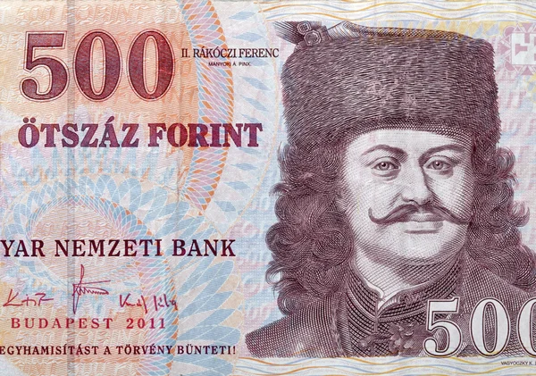 Money of Hungary 500 forint macro — Stock Photo, Image