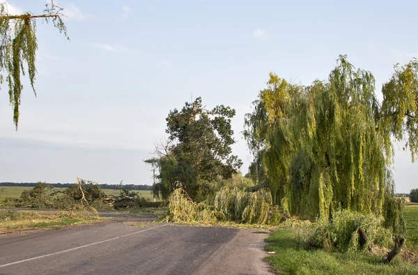 Effekten av orkanen — Stockfoto