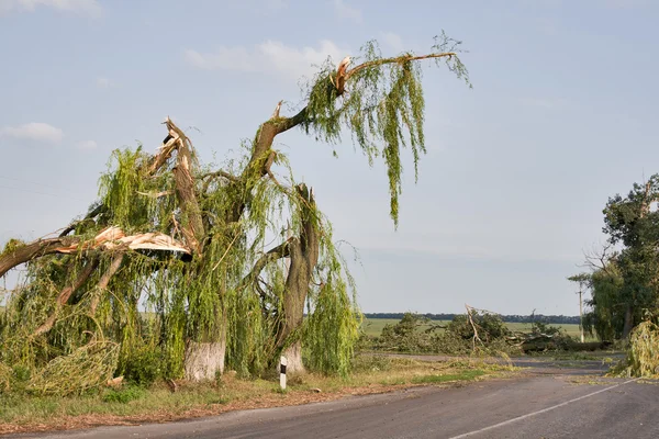 Effet de l'ouragan — Photo