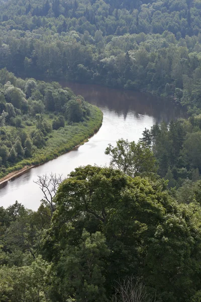 Río Gauja — Foto de Stock