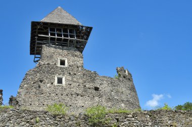 nevitsky kalesi kalıntıları