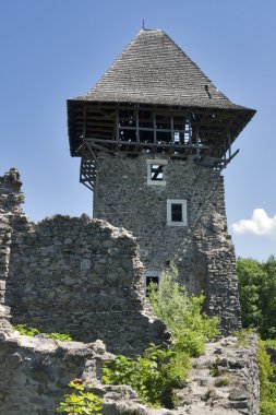 nevitsky kalesi kalıntıları