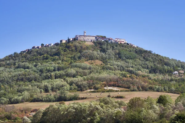 Středověkého města motovun — Stock fotografie