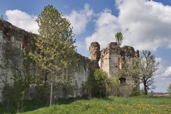 Ruinen der Burg Pniv — Stockfoto