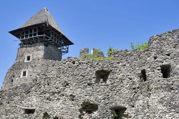 Rovine del castello di Nevitsky — Foto Stock