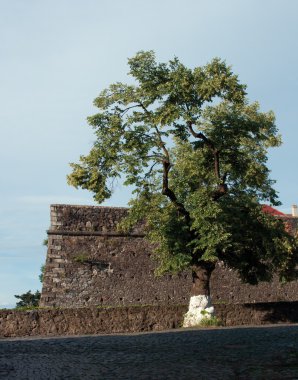 Uzhhorod Kalesi