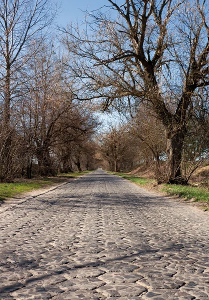 Asırlık taş yol — Stok fotoğraf